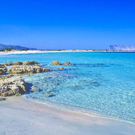 Iss Travel, Panoramic Coda Cavallo Cottages - 10 Km From San Teodoro サン・テオドーロ エクステリア 写真